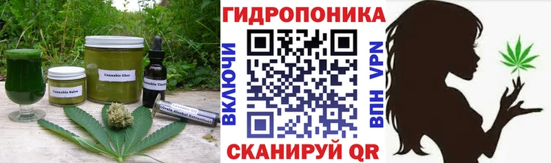 купить   Пудож  сайты даркнета телеграм  Cannafood марихуана  hydra рабочий сайт 
