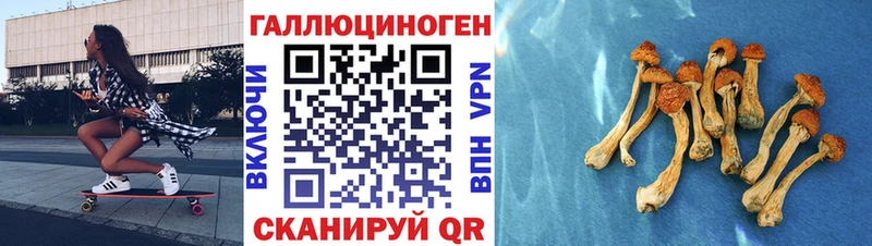 Псилоцибиновые грибы Psilocybine cubensis  даркнет сайт  Пудож 