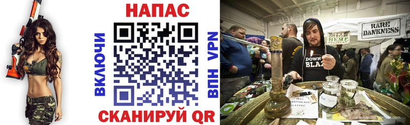 купить наркотики сайты  Пудож  Канабис конопля 